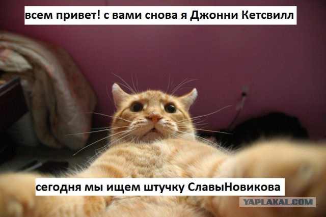 У меня грустные новости для соЯПовца. Слава Новиков тут есть?