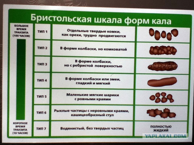 А что если светодиоды установить в унитаз?