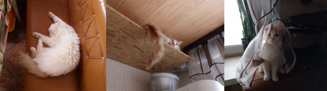 Смотрите, что я нашел