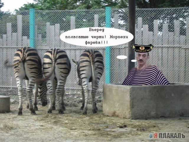 Фотожаба: Невидимый зверь