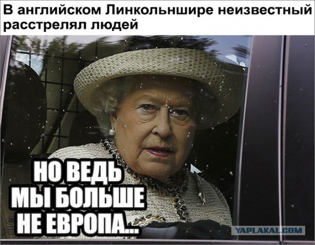 Сводки с виртуальных боёв