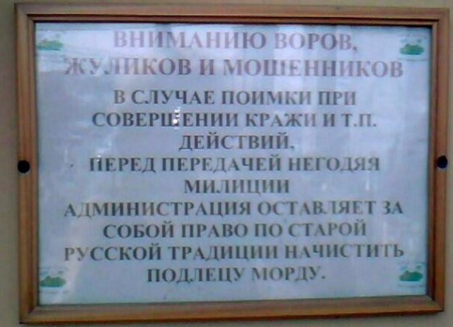 Смешные картинки