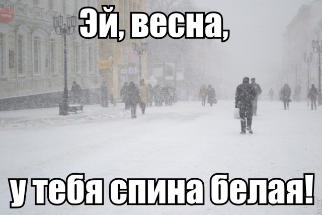Подборка безудержного веселья