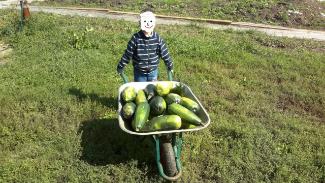 Вот и осень. Похвастаемся, Дачники?