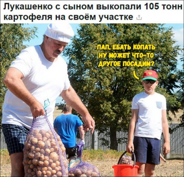 Картинки с подписями и без