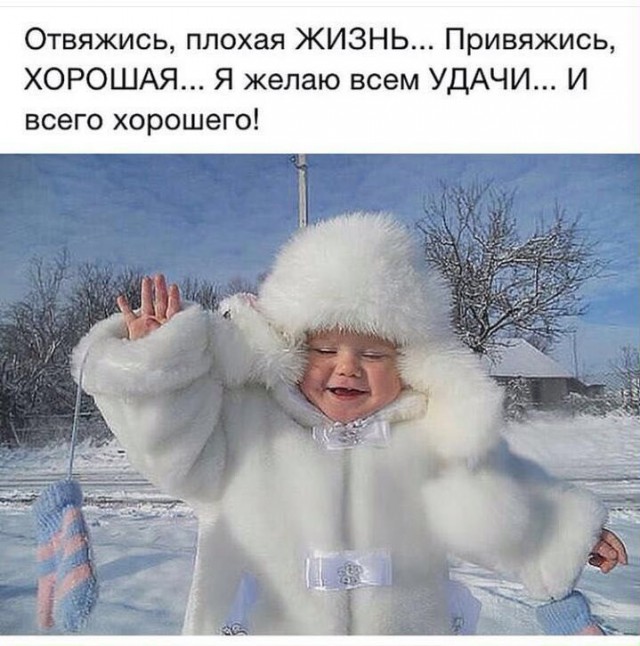 Просто картинки