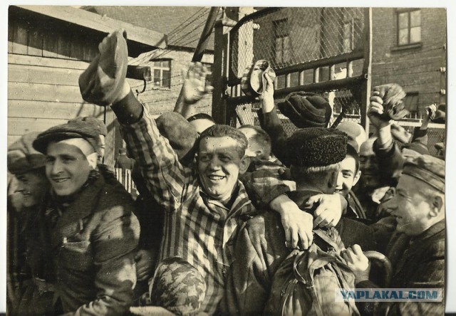 Холокост: бизнес на пепле