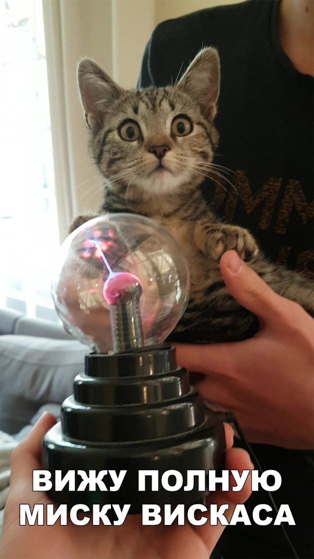 Немного милоты
