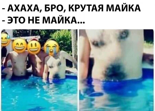 Нестандартный юмор