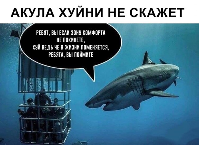 Нестандартный юмор