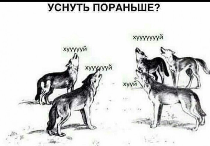 Только лег с намерением выспаться! И так каждую ночь...