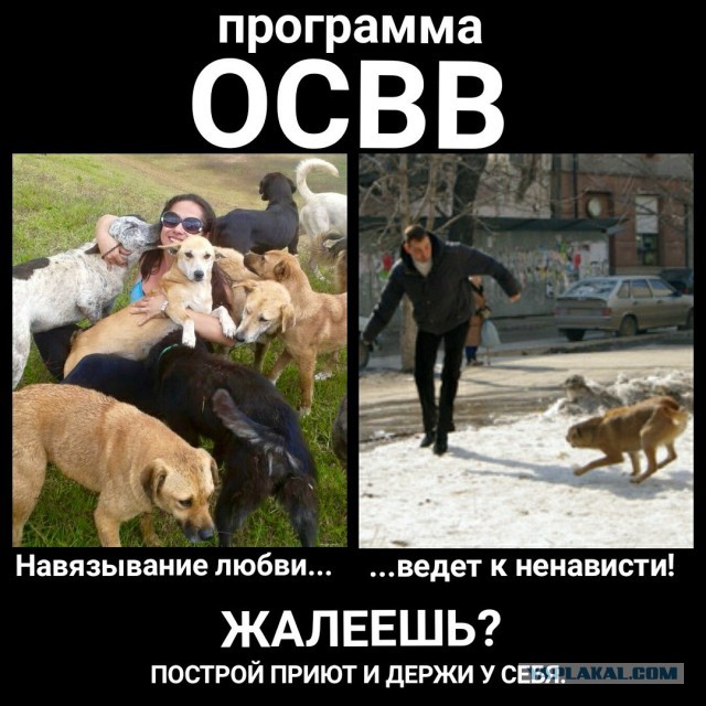 Почему люди не любят зоо(защитников)шизу?