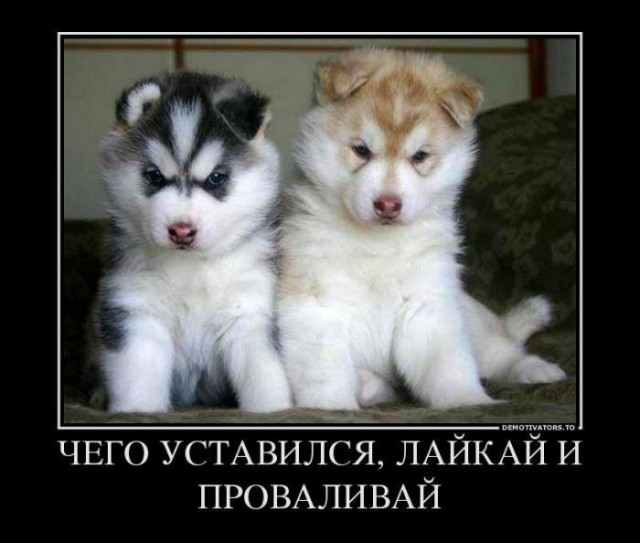 Бредзона