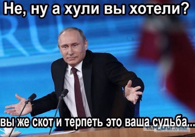 Песков об акциях протеста: «Вышло мало людей, много людей голосует за Путина»