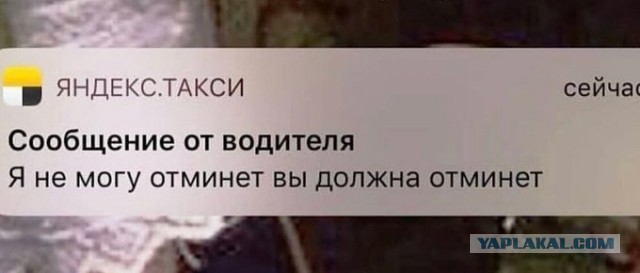 Бредзона 08.02.2021