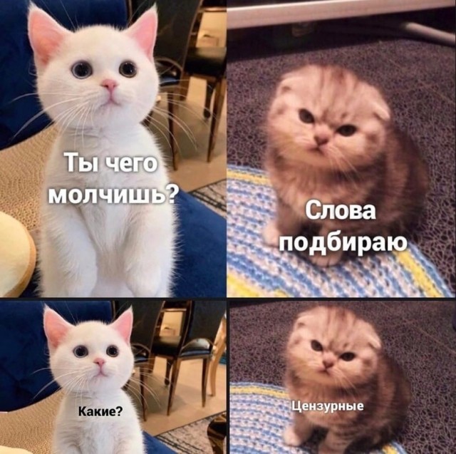 Как молодое поколение видит 40-летних