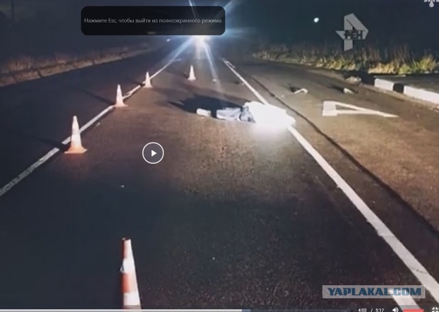 В Ленинградской области сестра в погибшего в ДТП пытается привлечь к ответственности бизнес-тренера Ларису Курилец