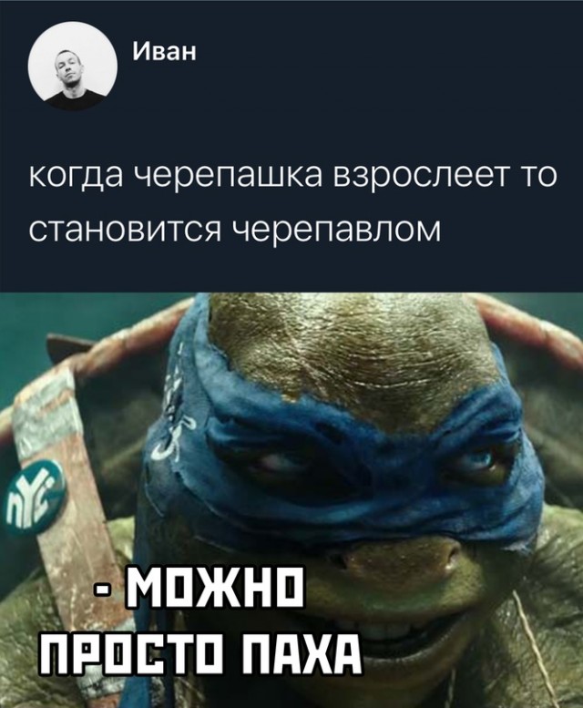 Весёлый полтишок 28.06.21