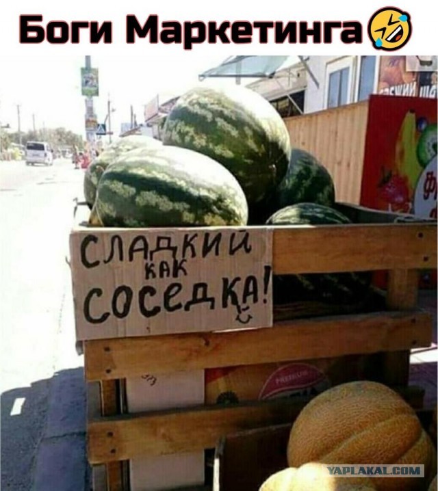 Так себе картинки 19.08.21