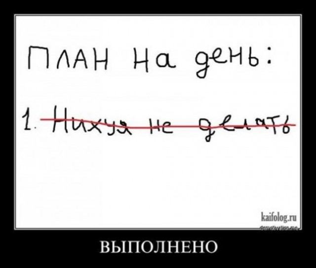 Весёлый полтишок 11.09