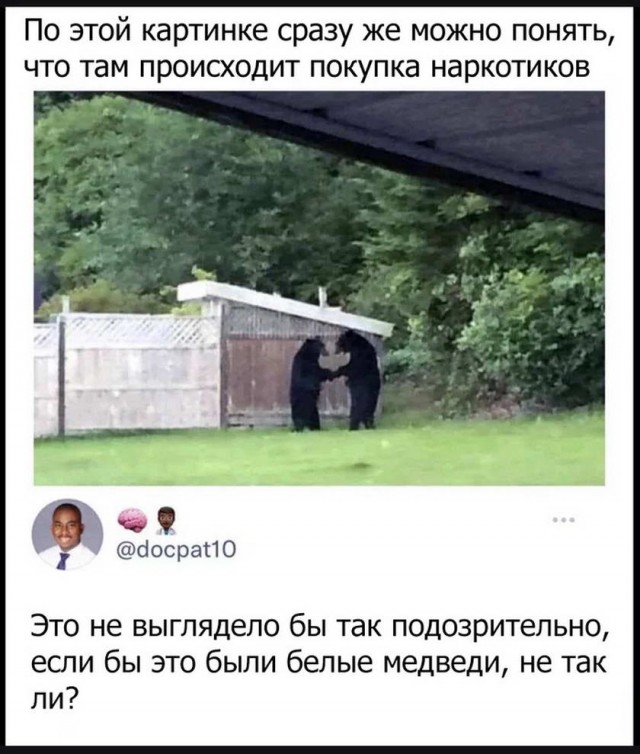 Калейдоскоп картинок 28.09.2021