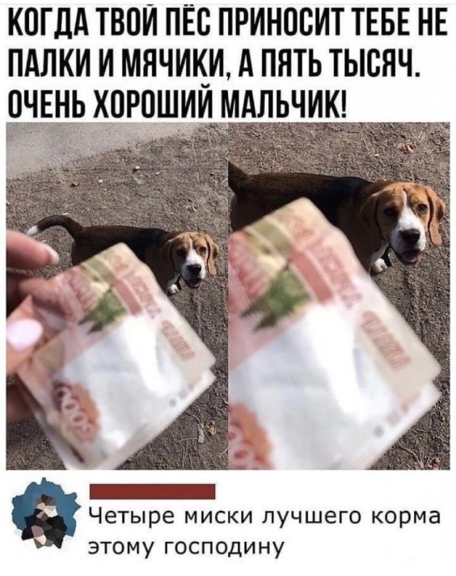 Картинки на выходные 17.10.21