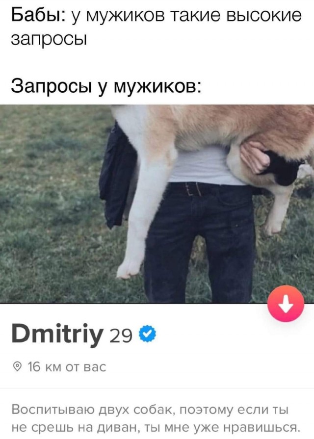 Всяческие картинки 17.11.2021