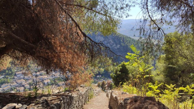 Aлбания в эпоху ХВОРИ всеобщей (2021)