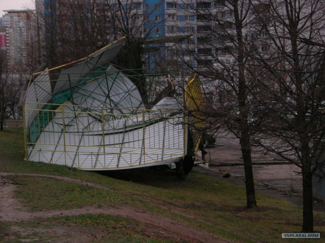 Штормовой ветер в Москве 23.11.08 г.