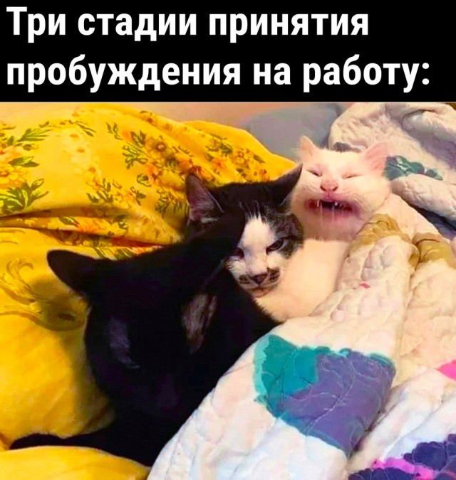 Так себе картинки 04.04.22