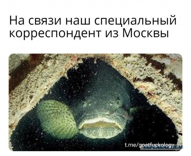 Российское минобороны: крейсер «Москва» затонул при буксировке — из-за повреждений корпуса в условиях шторма