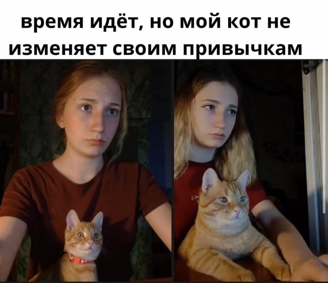 Так себе картинки 20.04.22