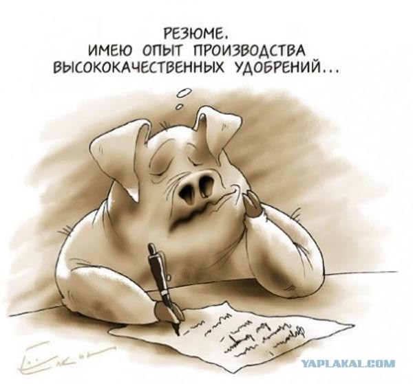 Резюме должно быть правдивым