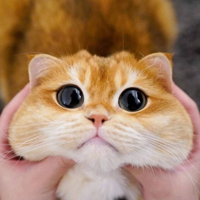 Вам нужно взглянуть