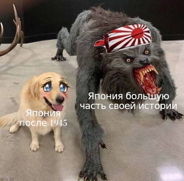 Япония применила термин «незаконная оккупация» к российским Южным Курилам