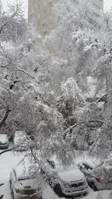 А у вас как дела с погодой?