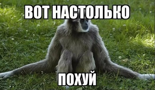Ой беда-то какая... Сервис знакомств Тиндер уходит из России