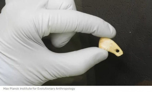 Это кажется фантастикой, но ученым впервые удалось выделить ДНК женщины из палеолитических украшений, которые она носила!