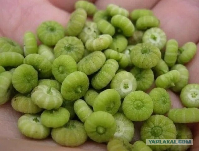 Продукты в СССР
