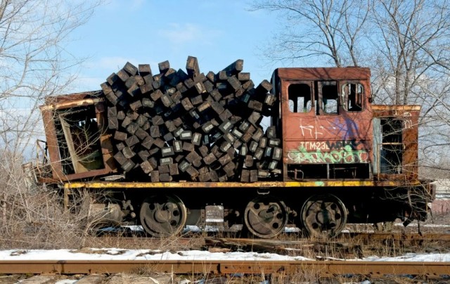 В Перми на зоозащитника напала собака