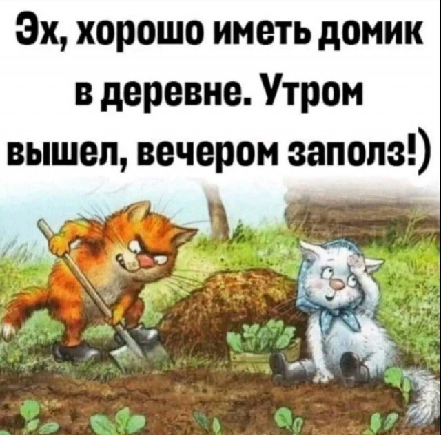 Картинки и мемы для настроения - 181