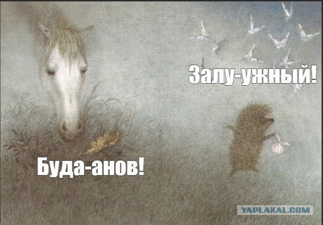 Украинские Telegram-каналы: в Киеве готовятся к похоронам Кирилла Буданова