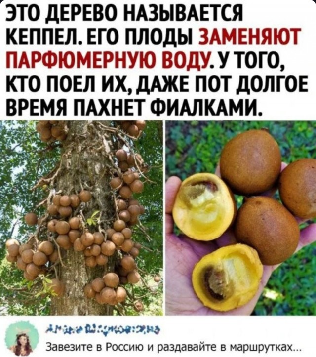 Забавные комментарии из социальных сетей (31.07.23)