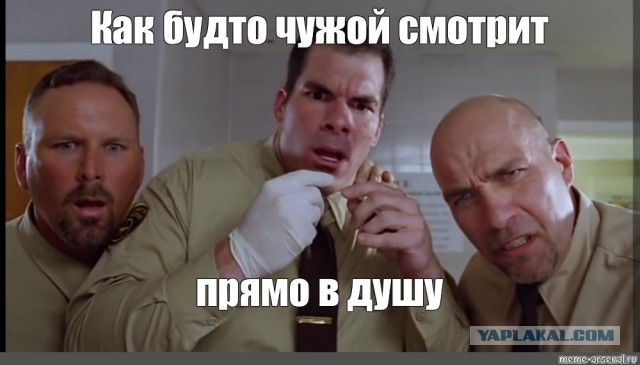 10 популярных мемов, которые подарило нам кино