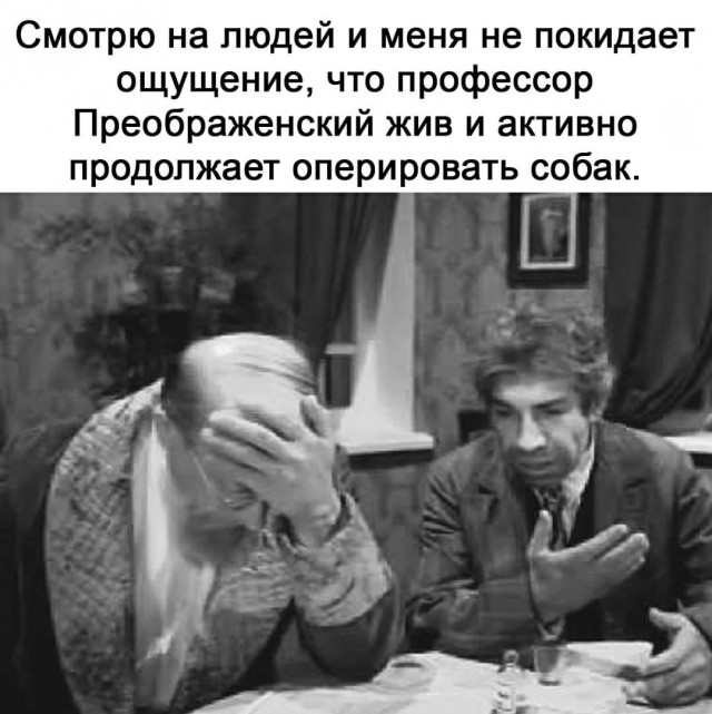 Нуштош 11.09.2023