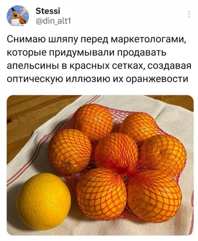 Весёлый полтишок 05.10.23