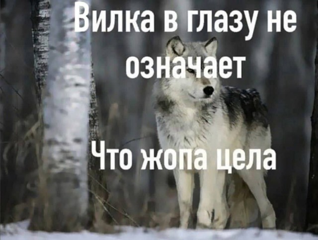 Народная меДИЧина 7037