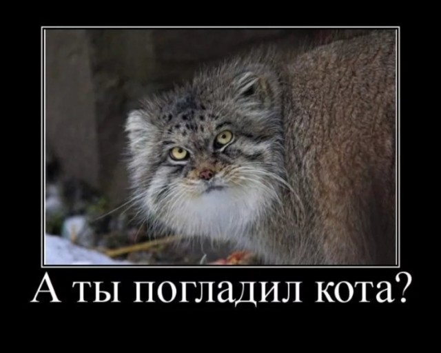 И как мне быть? Квартира будущей жены оформлена на тещу