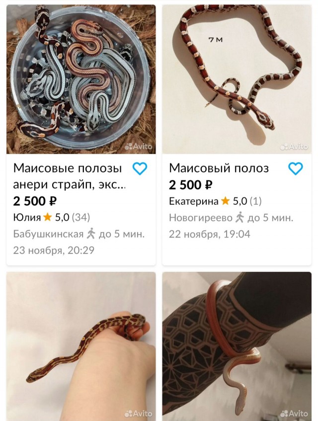 Недавно мне исполнилось 40 лет. Начала встречаться со студентом, воспитала его под себя и не жалею!