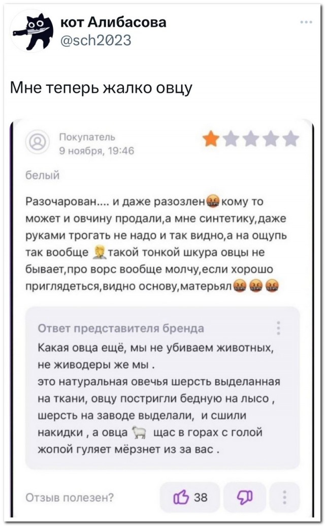 Забавные комментарии из социальных сетей (27.11.23)